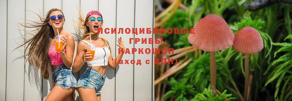 дмт Покачи