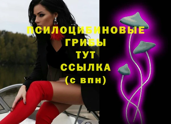 дмт Покачи