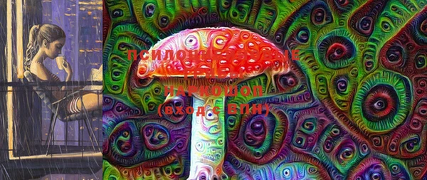 спайс Менделеевск