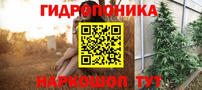 крисы Бийск