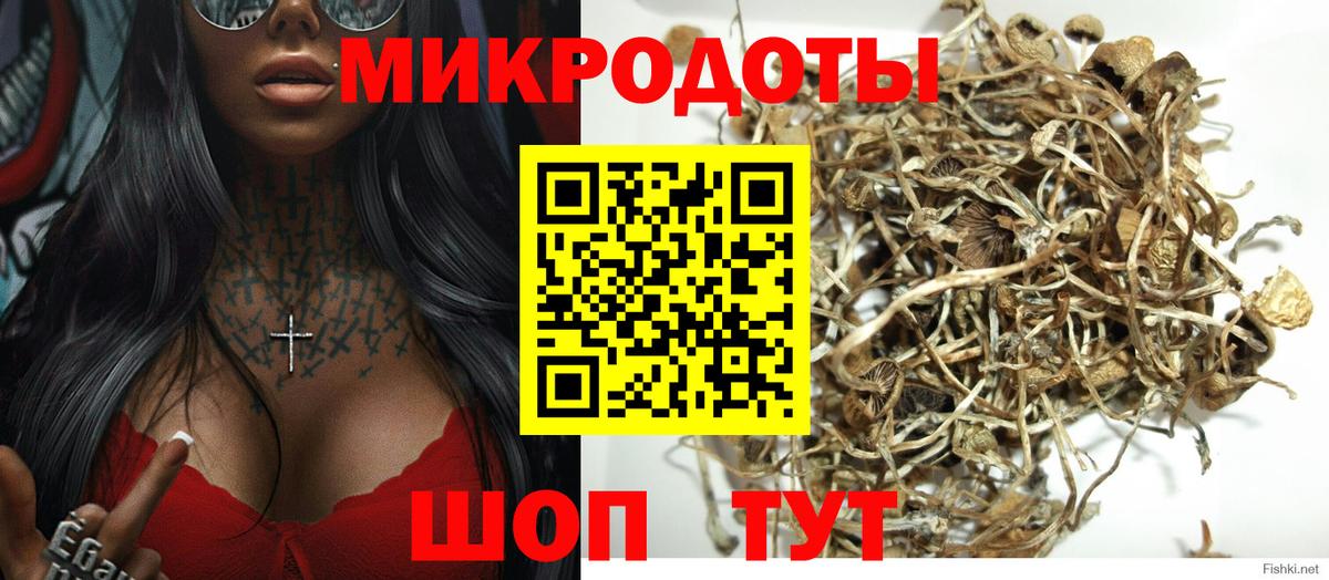 дарнет шоп  Россошь  Галлюциногенные грибы мухоморы 