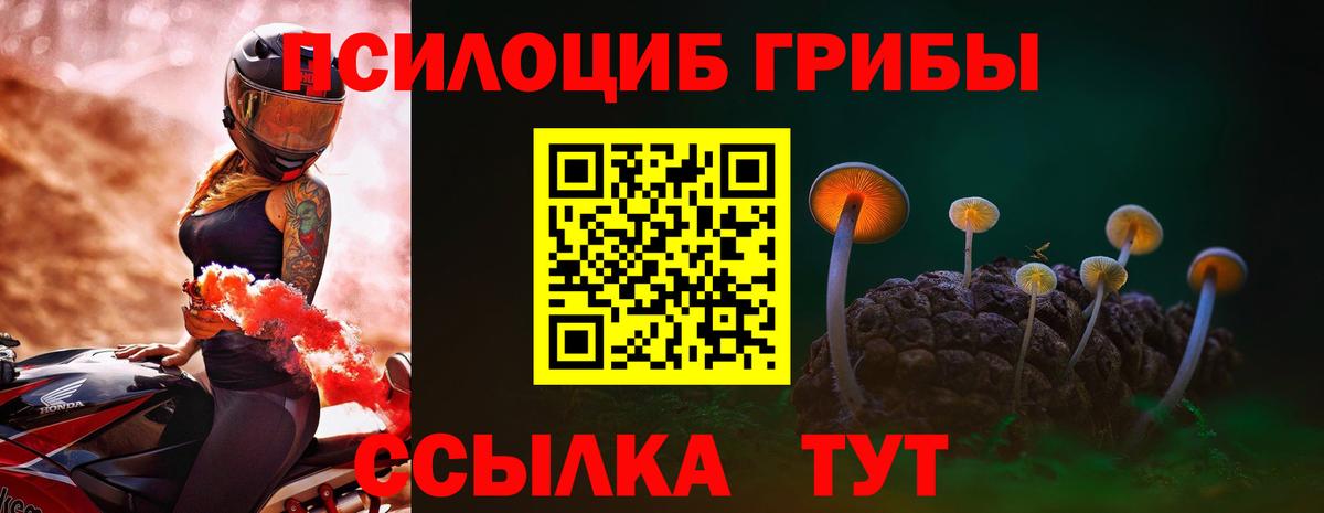 Россошь  Галлюциногенные грибы мицелий  Псилоцибиновые грибы Psilocybine cubensis  Вход с VPN 
